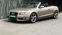 VA Platinum: Hertz, Europcar VIP status