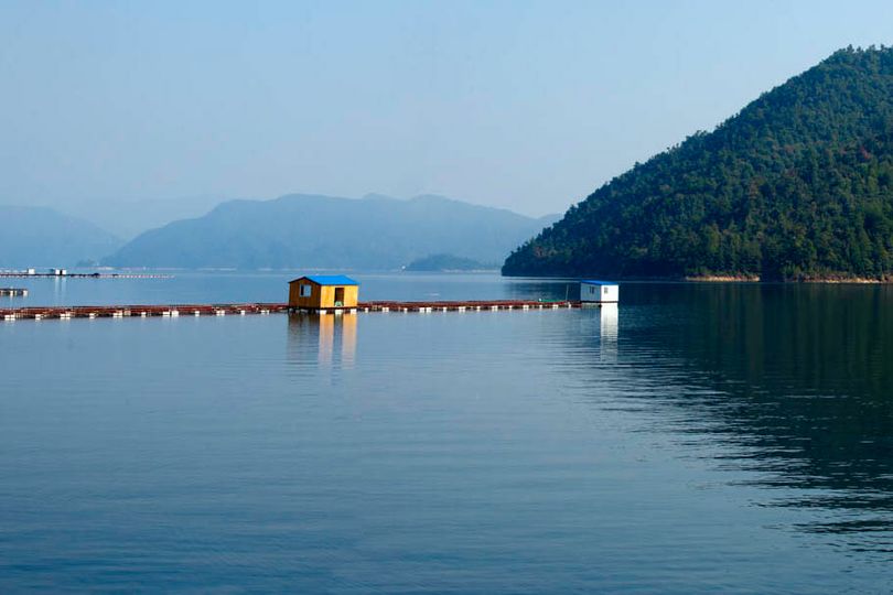 Sturgeon pens in Qiandao Lake in the Zhejiang province of China