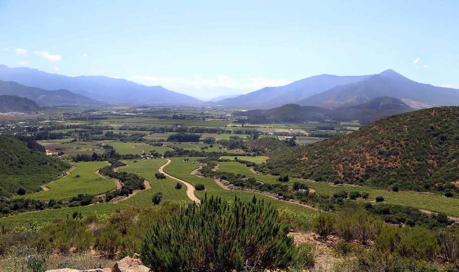 Vineyards in Chile’s Aconcagua Valley.