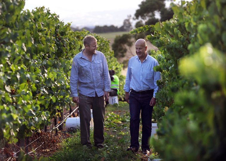 Winemakers Martin Shaw and Adam Wadewitz with the fruit of their shared labours.