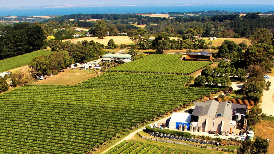 Paringa Estate is home to lively Mornington Peninsula-style chardonnays.