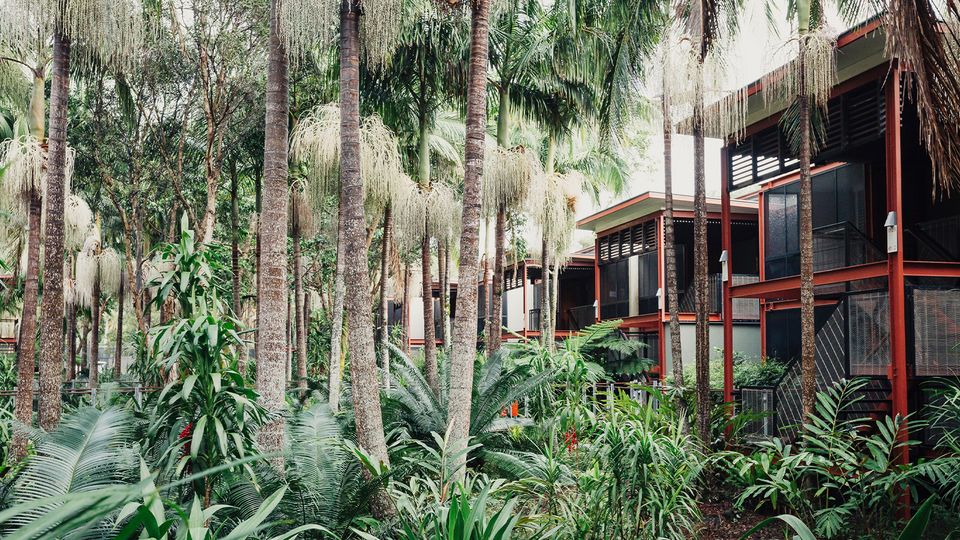 A green getaway at the Crystalbrook Byron resort will also add more points to your haul.