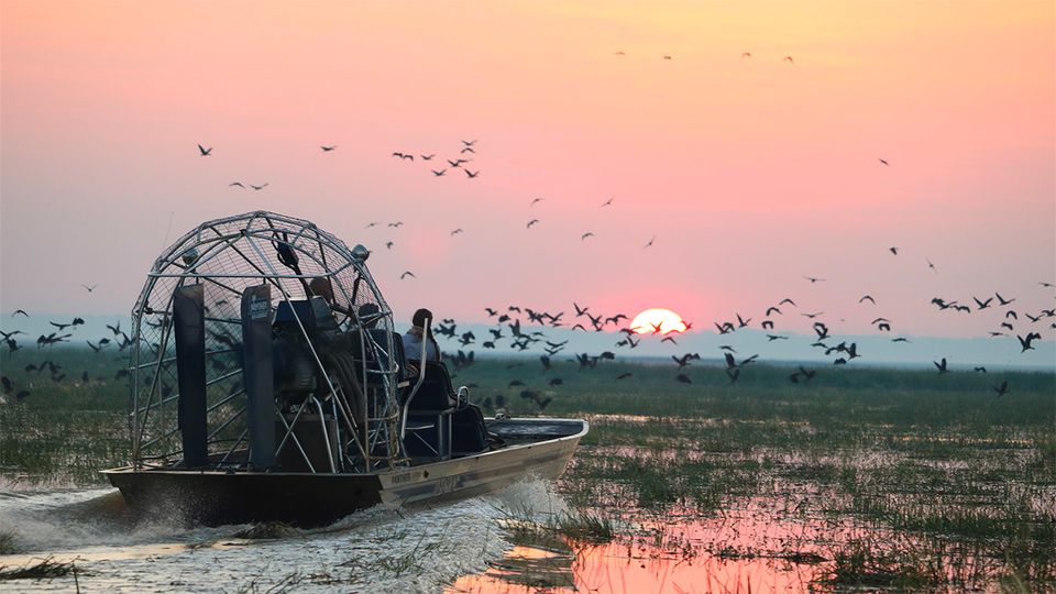 Wildlife and wonder come together at Bamurru Plains.