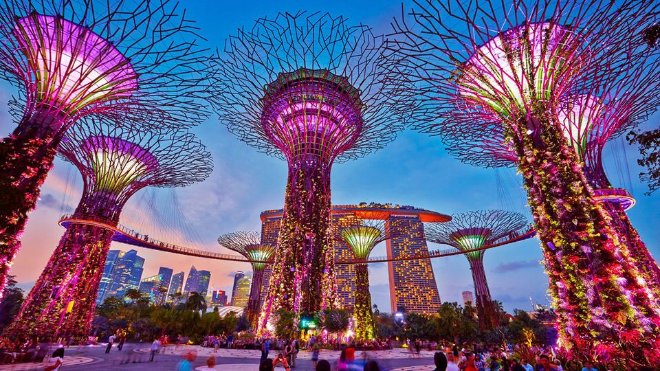 The soaring supertrees at Gardens by the Bay.. Edward Tian