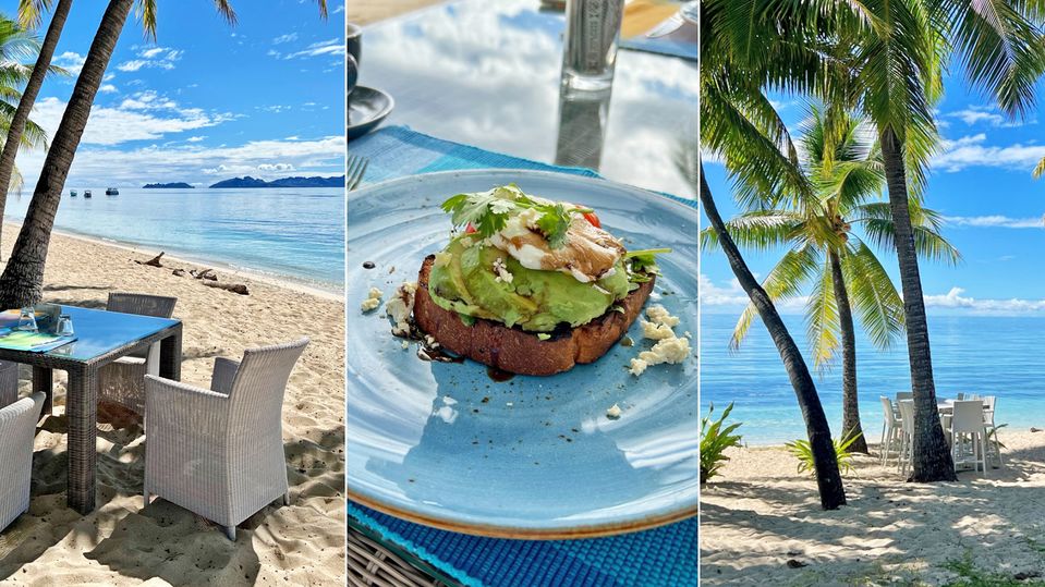 Breakfast with a view.