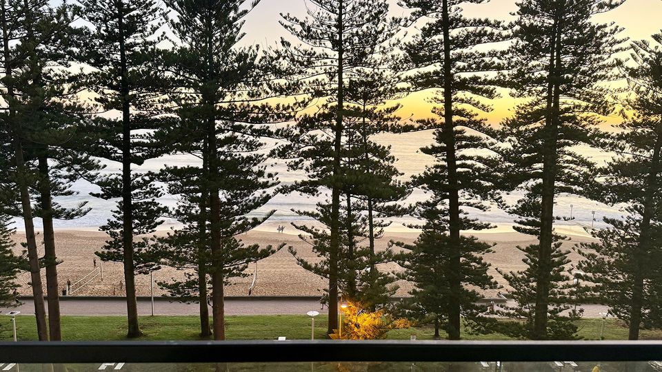 Sunrise through the Norfolk Island pines.