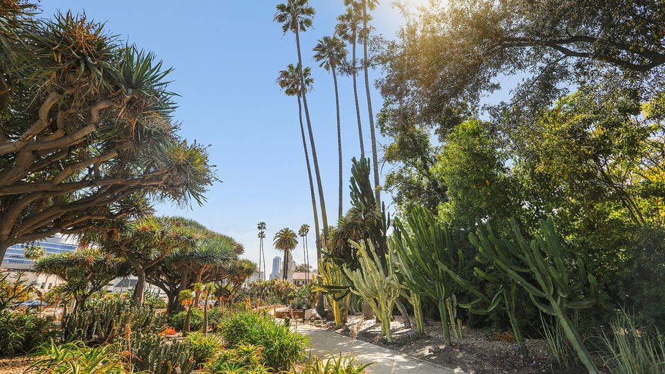 Beverly Gardens is a 3km liner park along Santa Monica Boulevard.
