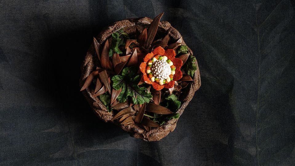 Nasturtium tart with bunya custard is among the new dishes at Restaurant Botanic.