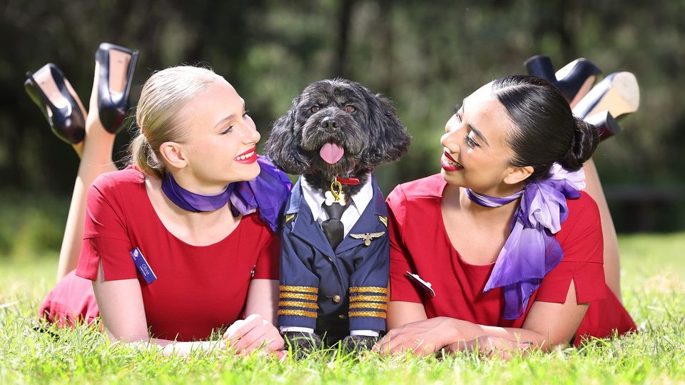 Virgin wants to be the first Australian airline to allow pets in the cabin.