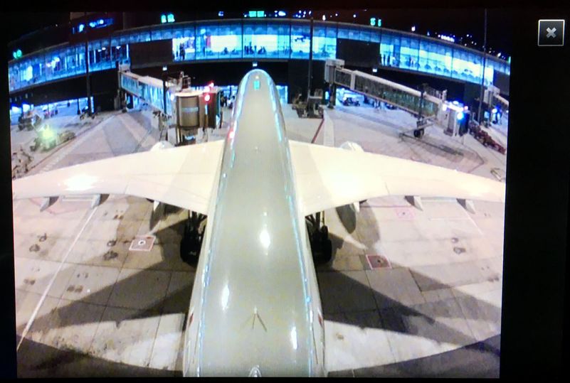 You won't see much from the camera during the overnight flight, though...